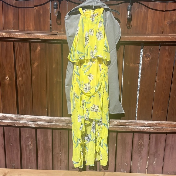 Eliza J Dress - Picture 1 of 6